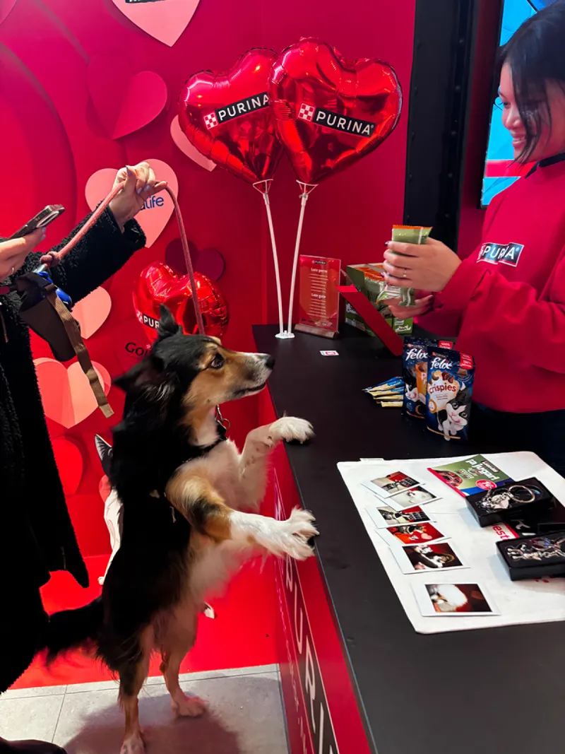 Galería de activaciones